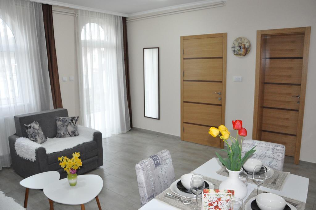 Aria apartmani Vrdnik Bagian luar foto