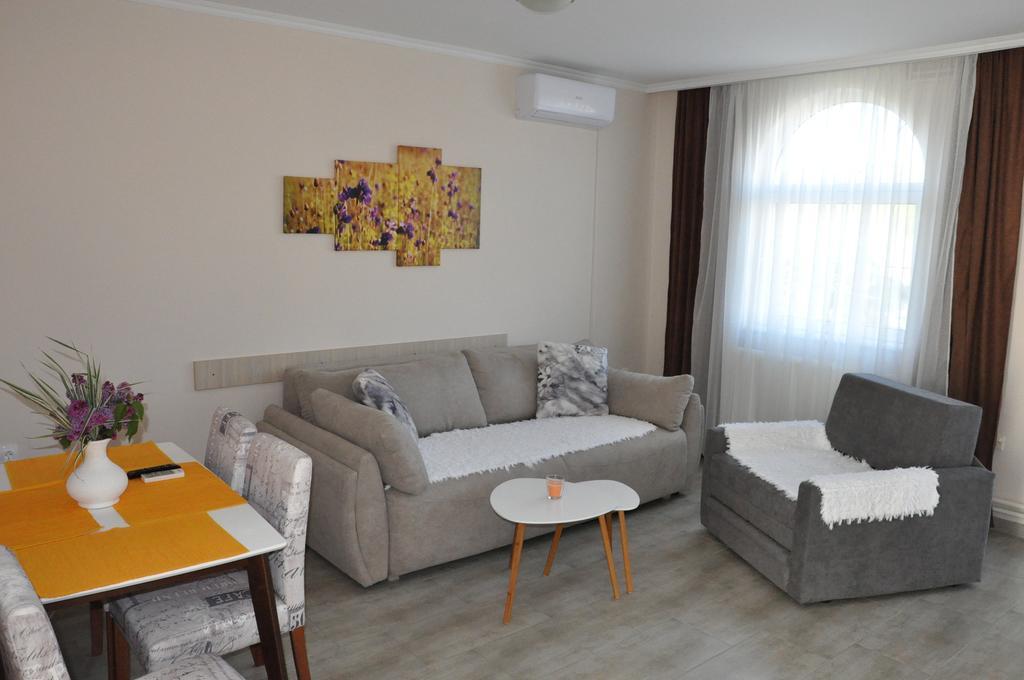 Aria apartmani Vrdnik Bagian luar foto