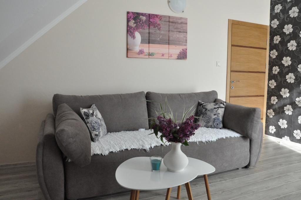 Aria apartmani Vrdnik Bagian luar foto